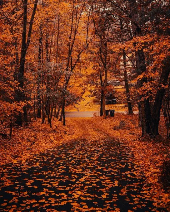 First Day of Fall 2025: Complete Autumn Equinox Calendar & Weather