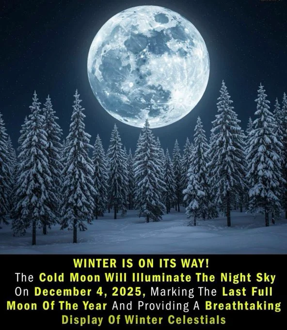 full moon december 2025